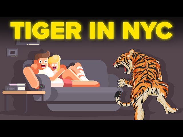 Living with a Tiger: Man Keeping A 400lb Killer In His Tiny New