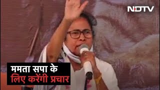 UP Election 2022 : पश्चिम बंगाल की CM Mamata Banerjee UP चुनाव में सपा के लिए करेंगी प्रचार