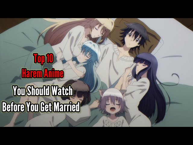 Not Every Harem Anime Is Bad. Convincing you to watch some good harem… | by  Fahim Ahmed | THE CROWN | Medium