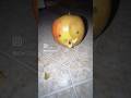 #apple #shorts #viral #funny #craft #fyp #fruit
