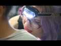 캣타투, 캐투 대 유행 Cat tattoos, or 'cattoos', the latest craze in New York