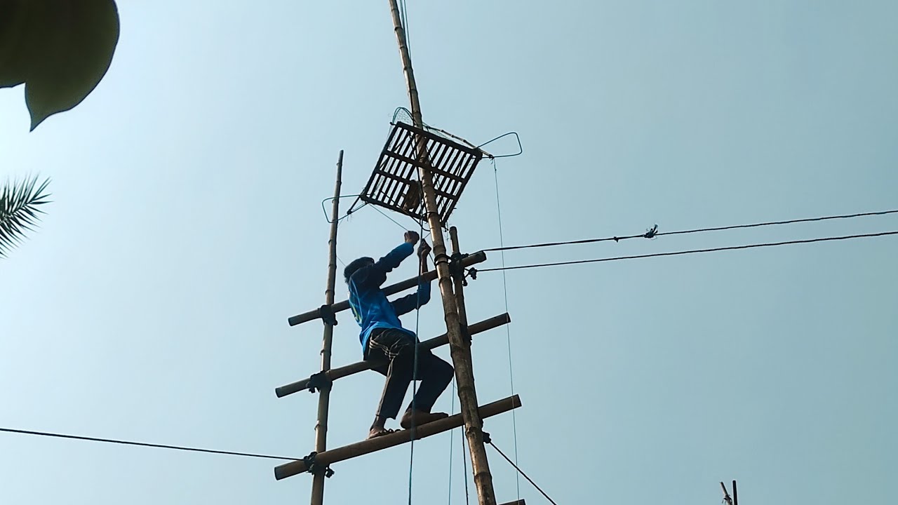 টাওয়ারের উপরে কবুতর ধরার বিশেষ ফাদ