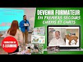 Formation à distance de FORMATEUR en PREMIERS SECOURS CANINS/FÉLINS - Présentation de l'e-learning