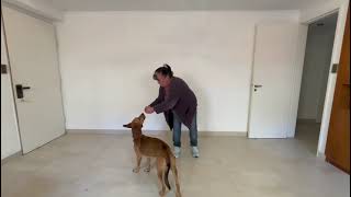29 de marzo de 2026 - Luring