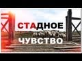 Галилео. Стадное чувство