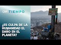 Antropoceno: La época que marca la presencia de la humanidad | CNN Tiempo