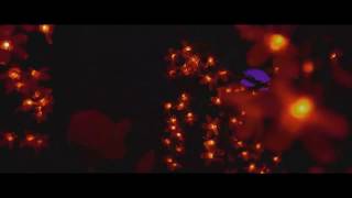 PHARAOH - Вальс (ПРЕМЬЕРА КЛИПА 2016) PHARAOH - Вальс (ПРЕМЬЕРА КЛИПА 2016)