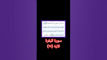 سورة البقرة الآية ٢٧ شيخ الزين محمد احمد رواية حفص عن عاصم تلاوة تهدئ البال والروح 