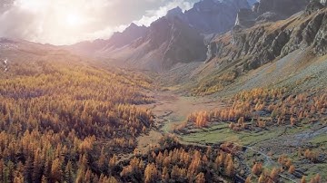 آيات عظيمة من سورة الزمر