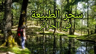 سحر الطبيعة في الجزائر