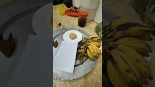 sừng cheo đông chuối của người dân miền núi...ai có LH Zalo 0788 769 345.bên TÂN có tập đoàn tìm mua