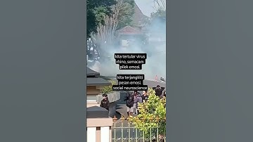 tertular virus rhino! #socialneuroscience