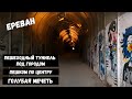 Ереван (3): Пешеходный туннель под городом, пешком по центру, Голубая мечеть | Капибары в бегах # 9