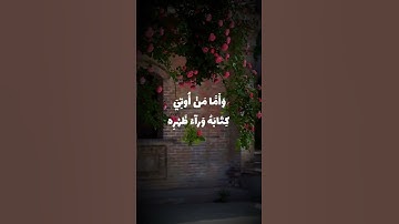 تلاوة تأسر القلوب ﴿فأما من أوتي كتابه بيمينه﴾ للقارئ: محمد المحيسني وفقه الله.