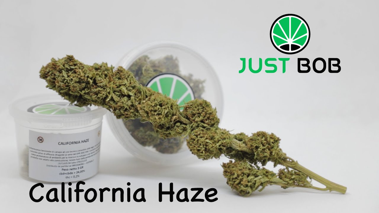California Haze CBD - Cannabis Legal - JustBob SPA