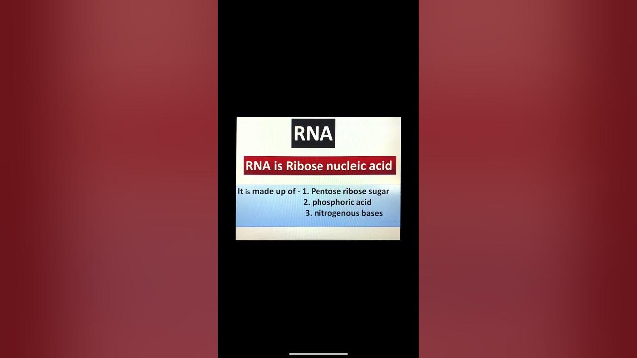 rna-concept-rna-define-rna-rna-explain-in-hindi-full-form