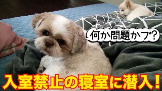 坂上パパの寝室にフユトとブーがさらにあの大先生も・・・