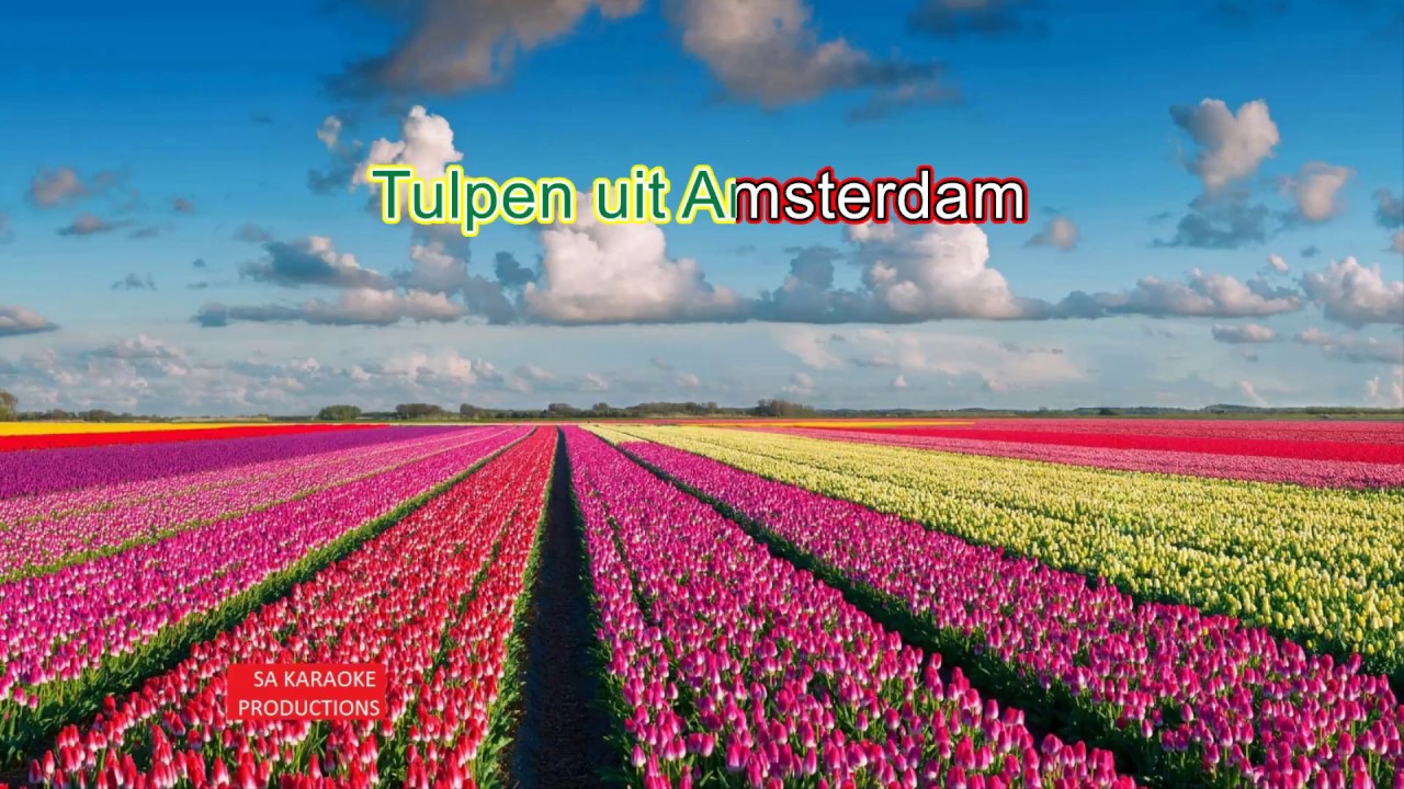 Vrijgevigheid optie vijver Karaoke HD "Tulpen uit Amsterdam" (Herman Emmink) - YouTube