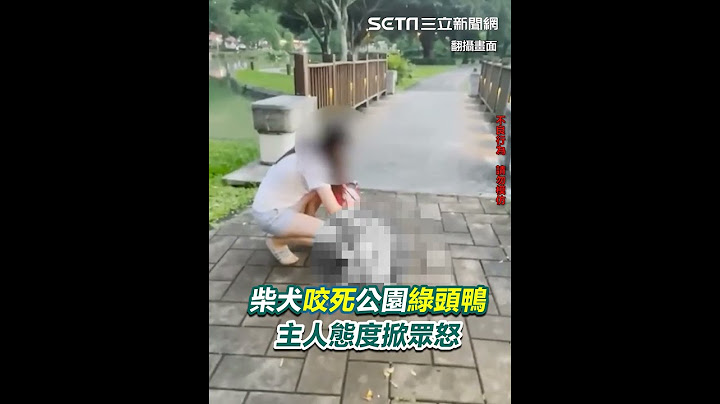柴犬咬死大湖公園綠頭鴨　主人態度掀眾怒 #犬殺 #寵物闖禍｜三立新聞網 SETN.com