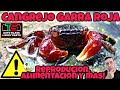 Cangrejo de Garra roja, Reproducion, Alimentacion, Todo lo que necesita saber sobre su cuidado!