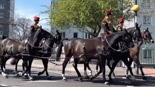 Prince Philip funeral Queen’s beautiful Horses #luna