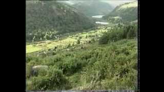 Glendalough - A Place Apart