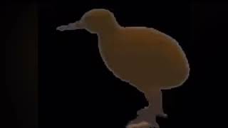 Ocular Nebula - Stay Inside Me But I Do Not Know What I Am Doing At This Point