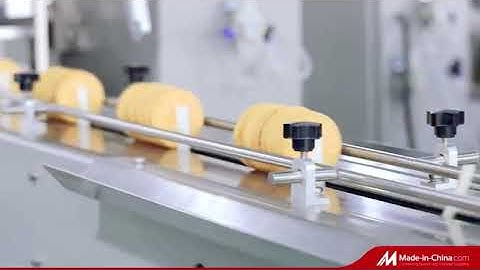 Biscuits on Edge Packaging Solution; Servo tray free biscuits on edge packing machine