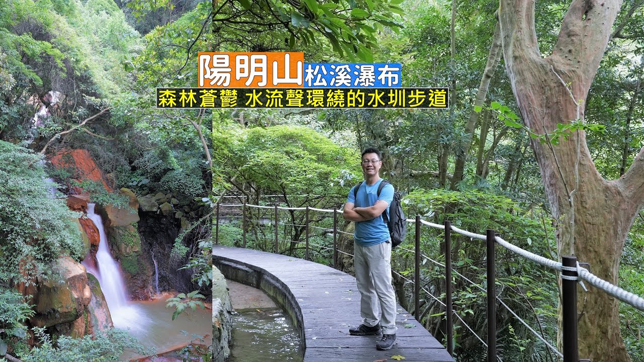 台北市也有這麼棒的森林浴步道！陽明山松溪瀑布沿途輕鬆走又有水流加持，讓氣溫變得涼爽舒服