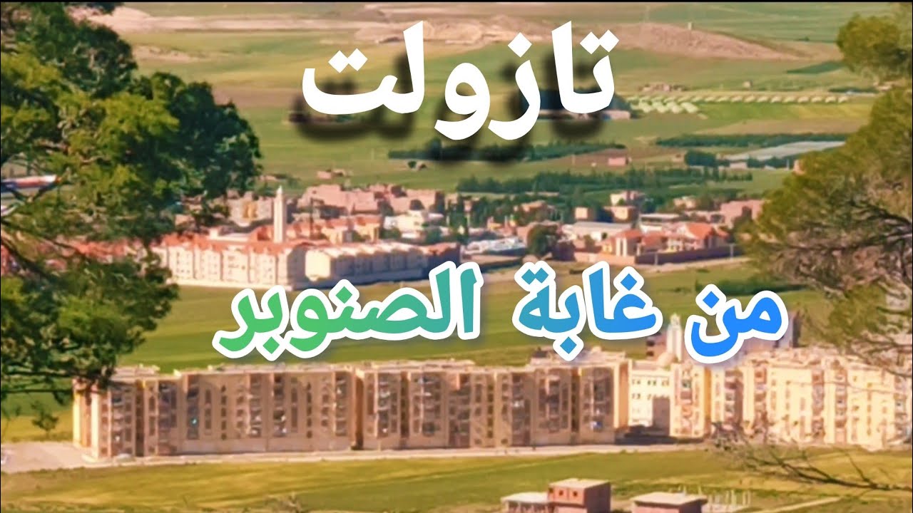 تازولت من غابة الصنوبر 🌲🌄🌳