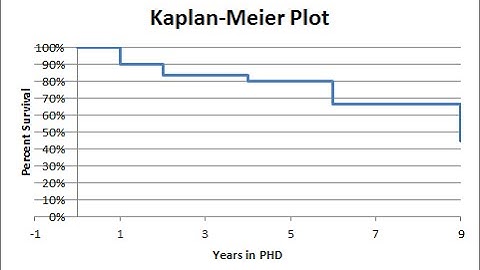 Kaplan-Meier Survival Analysis in Excel