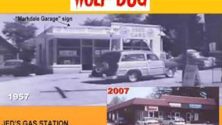 Wolf Dog Slide Show