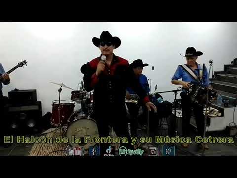 EL HALCÓN DE