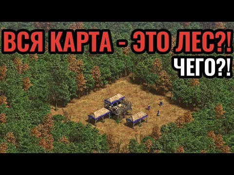 Video: Age Of Empires 2 Dostane První Oficiální Expanzi Za Více Než 10 Let