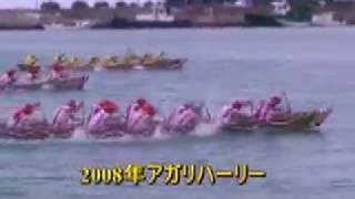 2008年アガリハーリー