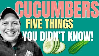 Cucumbers 101: Things you Didn't Know #cucumbers #fresh #101