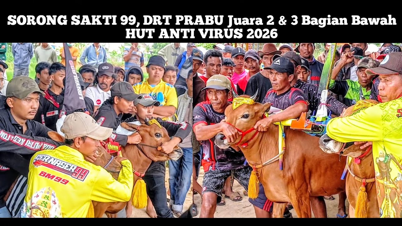 DRT PRABU Dan SORONG SAKTI Juara Dua Dan Tiga Bagian Bawah HUT ANTI VIRUS 2026