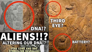 Sumerian gods' Handbags, Pinecones and the Mesopotamian “Tree of Life”  - the Truth about all 3 