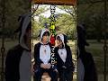 ググガガペンギン「クイヤ」