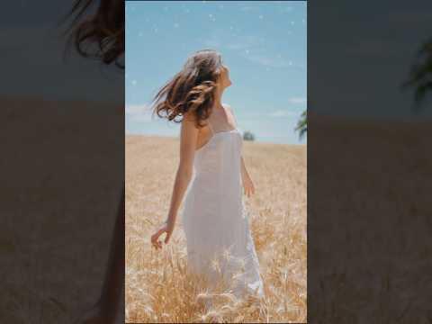 Мова сили Мова сили