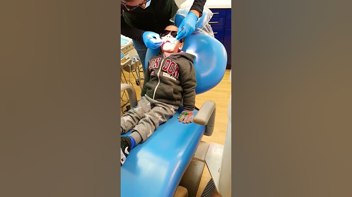 My Son's 1st Ever Dental Check Up