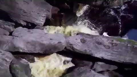 من #سورة_الشورى للقارئ #عبدالله_الموسى