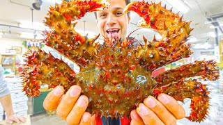 Most UNIQUE Street Food Japan - SPIKY Crab BREAKFAST + Seafood Tour of Sapporo, Hokkaido, Japan! screenshot 5