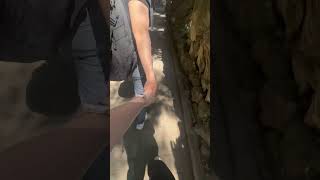 Download Lagu Moment manis gandengan tangan bersama pacar ||  #taylorswift  #sweetmoment #pacar #lovestory MP3