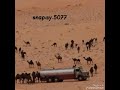 شيلة روح البدوه