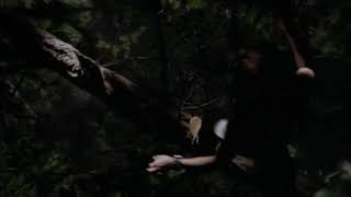 Pânico Na Floresta 2003 Morte De Carly Dublado Hd