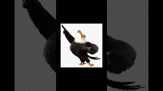 Cartoon Characters #shorts 275