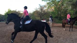 Jumping Lesson Raws || Mattie on Riviera || 4-11-17