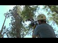 Middle of video