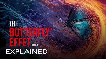 The Butterfly Effect: How Can a Small Event Change the World? 🦋